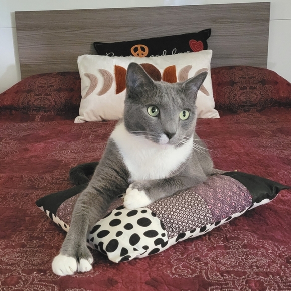 Meet your Posher, AlittlePeaceofJoy - Picture 4 of 6